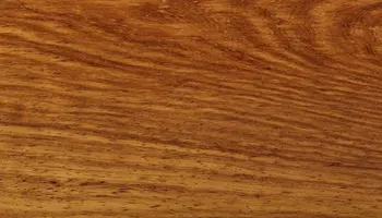 Umbila